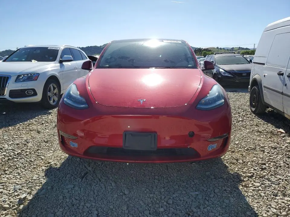 2021 TESLA MODEL Y   
