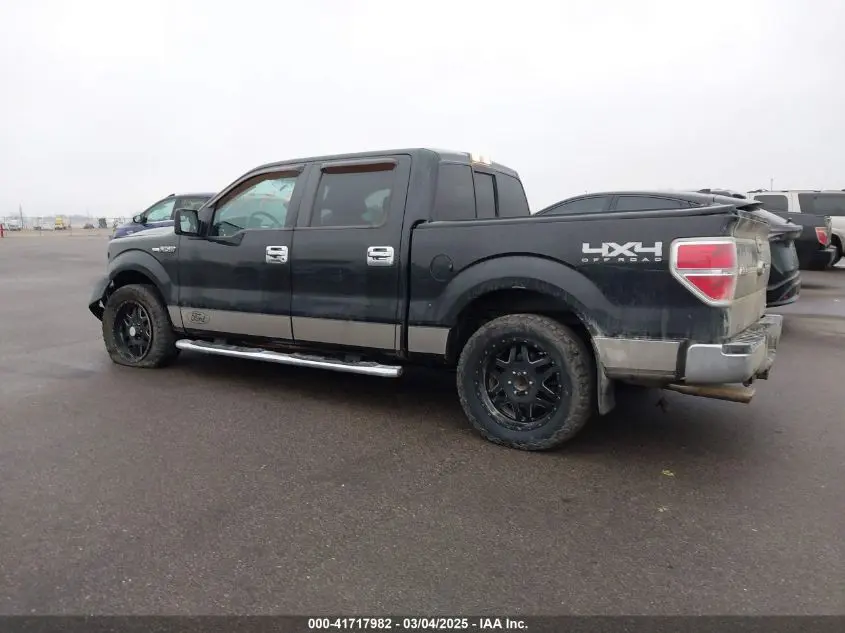 2013 FORD F-150 XLT