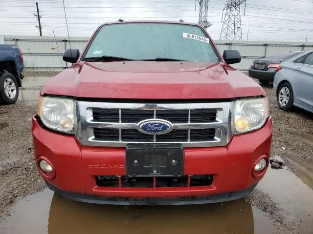 2010 FORD ESCAPE XLT  