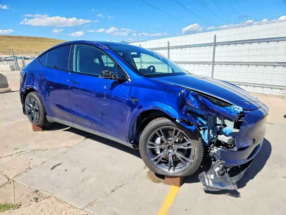 2025 TESLA MODEL Y   