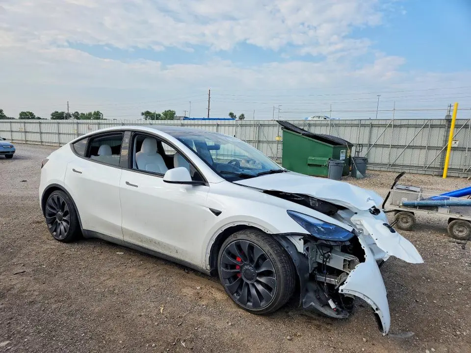 2024 TESLA MODEL Y   