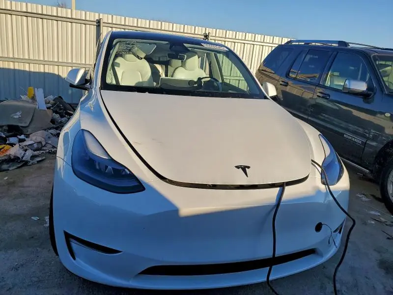 2025 TESLA MODEL Y   