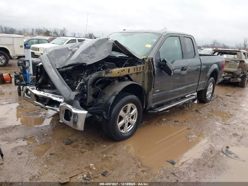 2016 FORD F-150 XLT