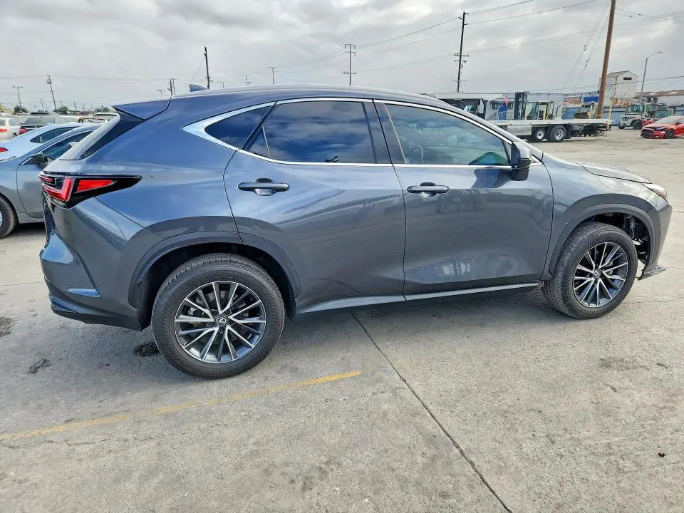 2024 LEXUS NX 350 BASE  