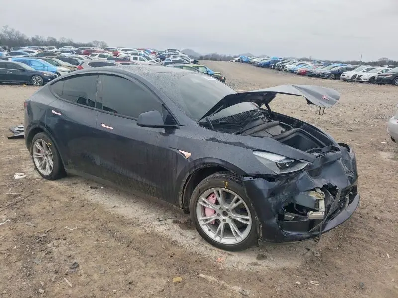2024 TESLA MODEL Y   