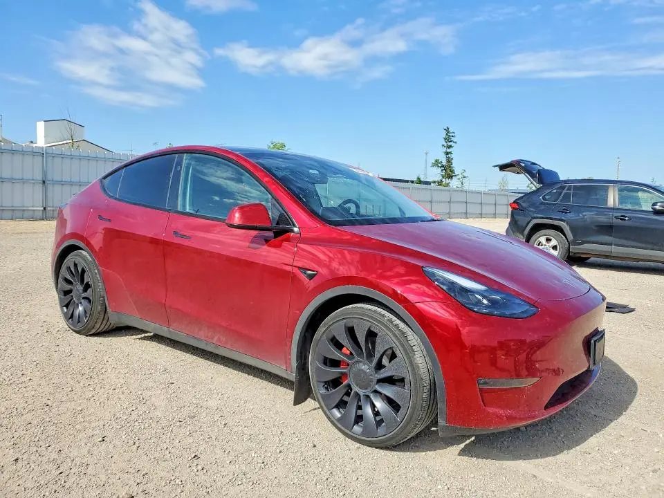 2024 TESLA MODEL Y   