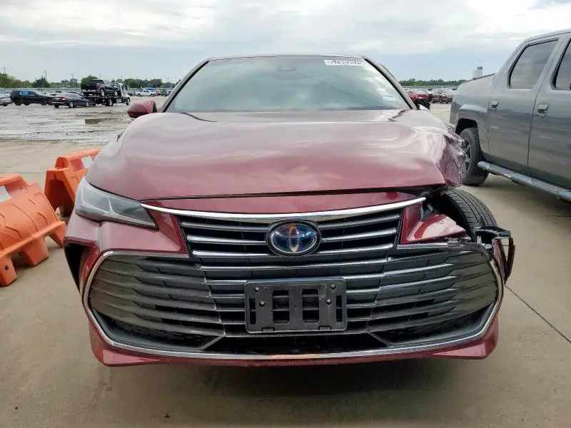 2019 TOYOTA AVALON XLE