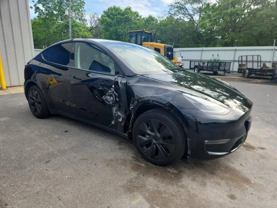 2025 TESLA MODEL Y   