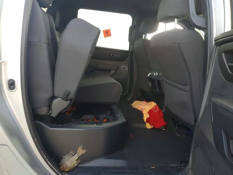 2025 TOYOTA TUNDRA SR  