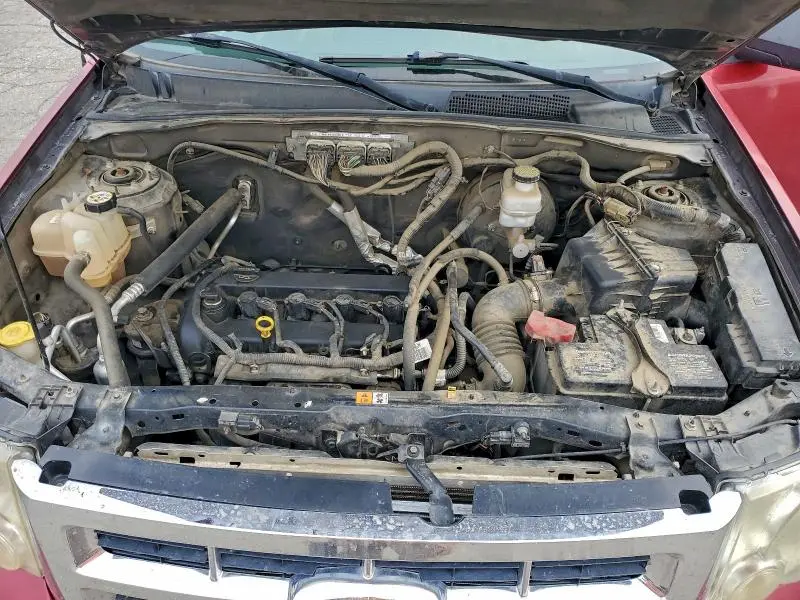 2010 FORD ESCAPE XLT  