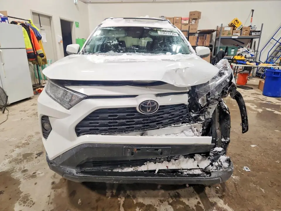 2019 TOYOTA RAV4 XLE  