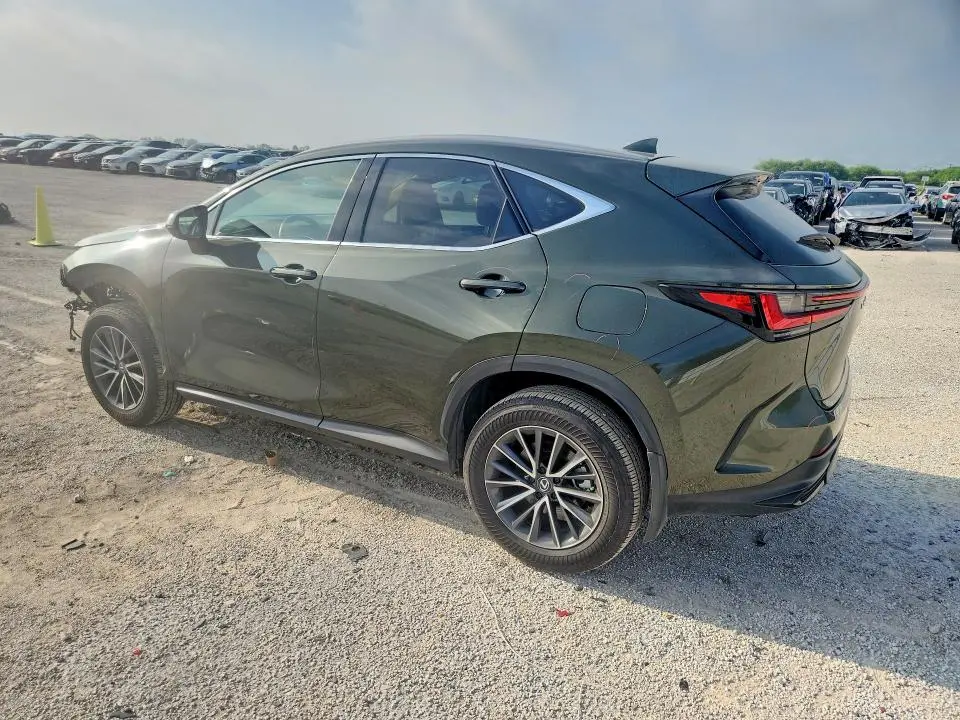 2025 LEXUS NX 250 BASE  