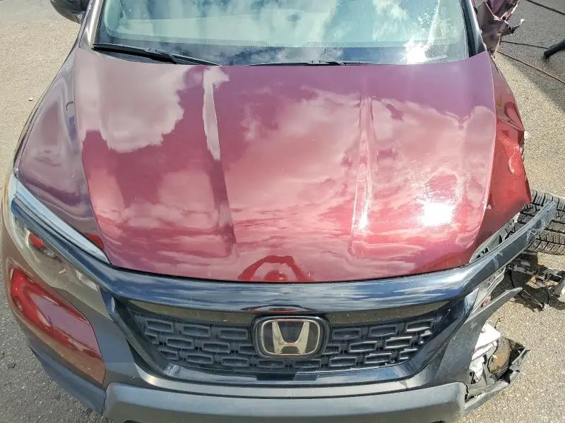 2019 HONDA PASSPORT EXL  