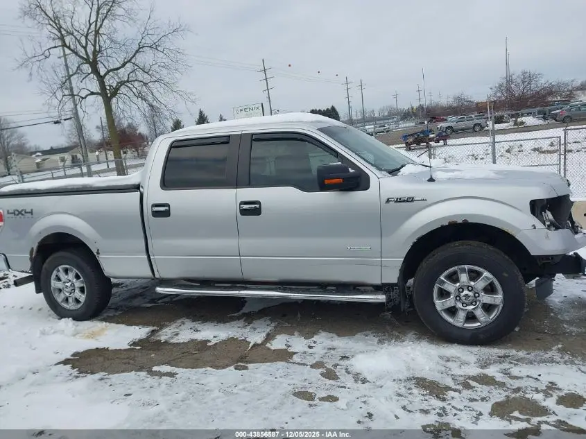 2014 FORD F-150 XLT