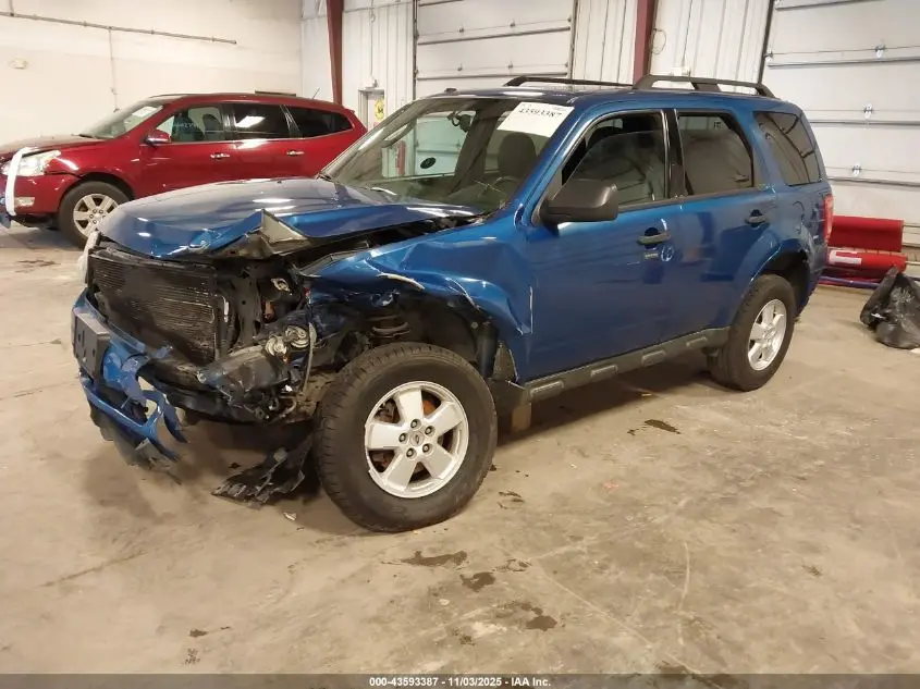 2011 FORD ESCAPE XLT