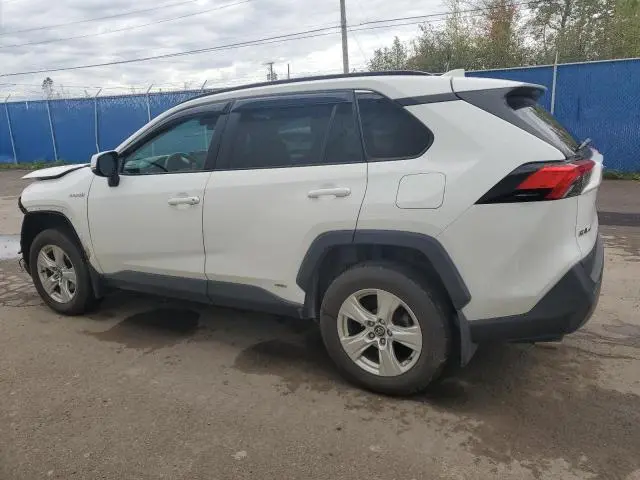 2021 TOYOTA RAV4 LE  