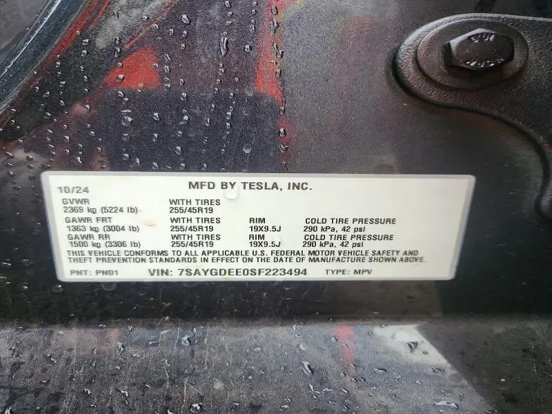 2025 TESLA MODEL Y   
