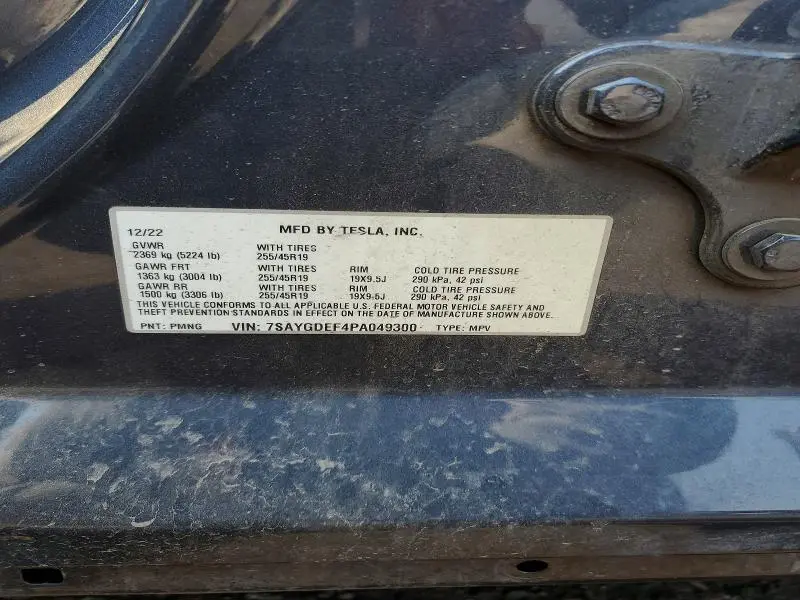 2023 TESLA MODEL Y   