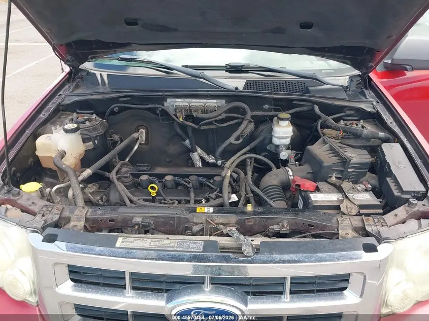 2011 FORD ESCAPE XLT
