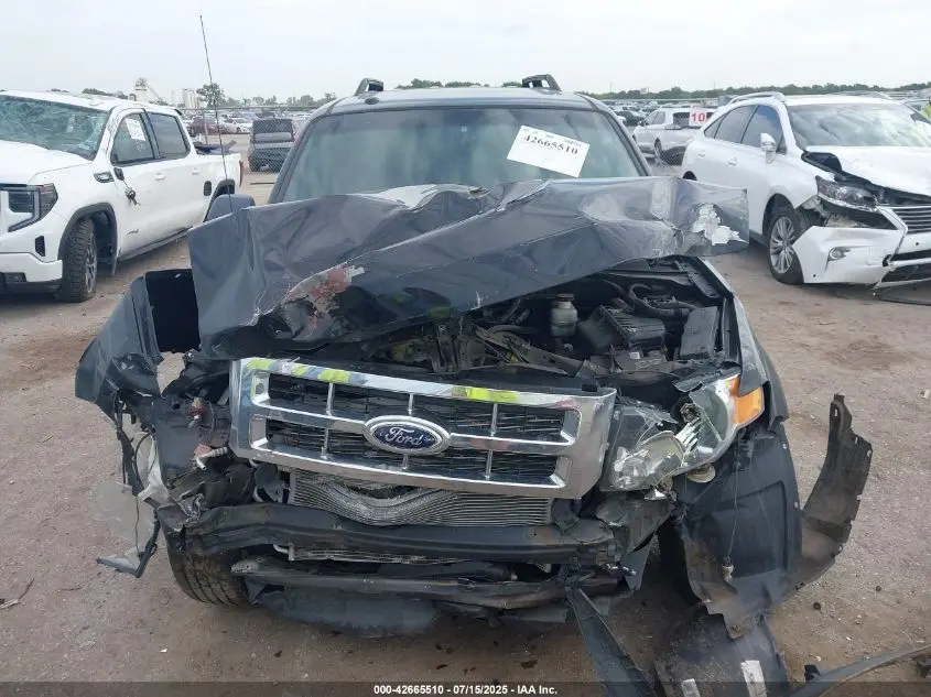 2010 FORD ESCAPE XLT
