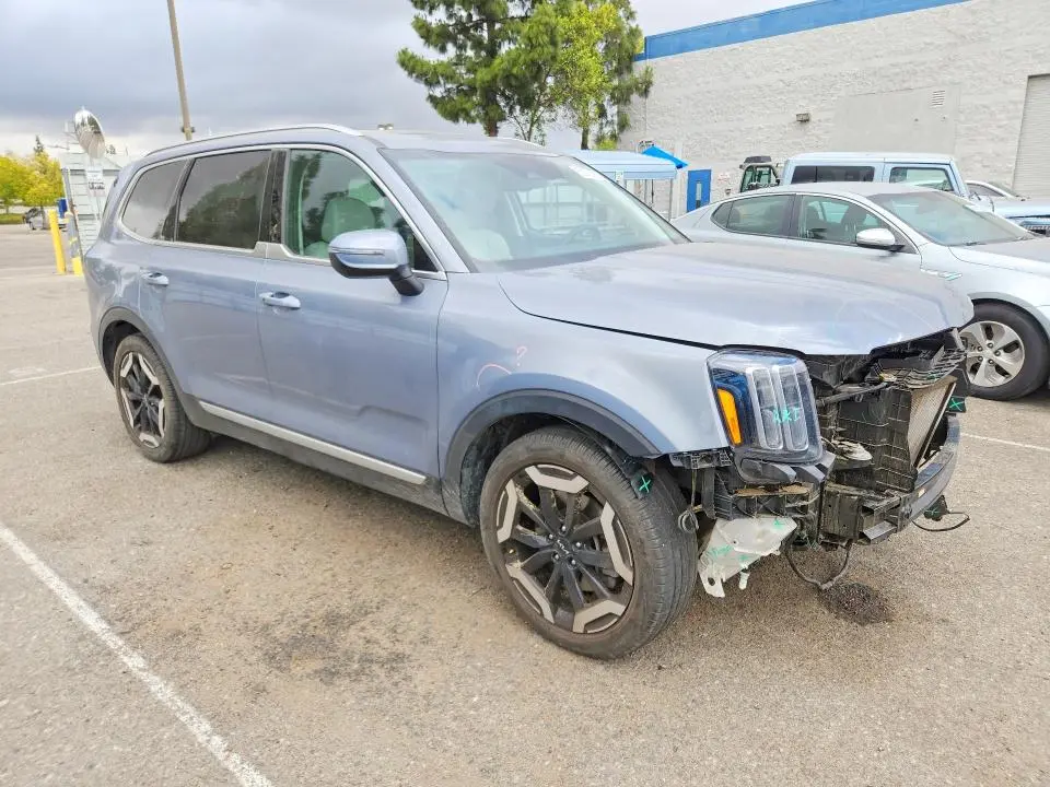 2025 KIA TELLURIDE EX  