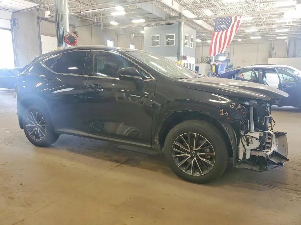 2025 LEXUS NX 350 LUXURY  