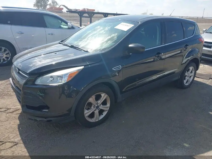 2014 FORD ESCAPE SE