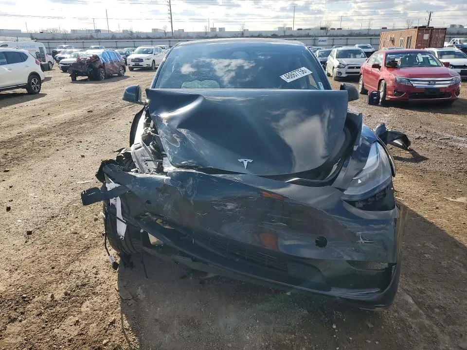 2024 TESLA MODEL Y   