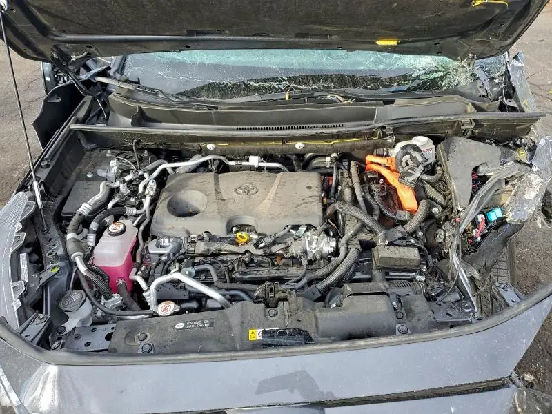 2025 TOYOTA RAV4 XSE  