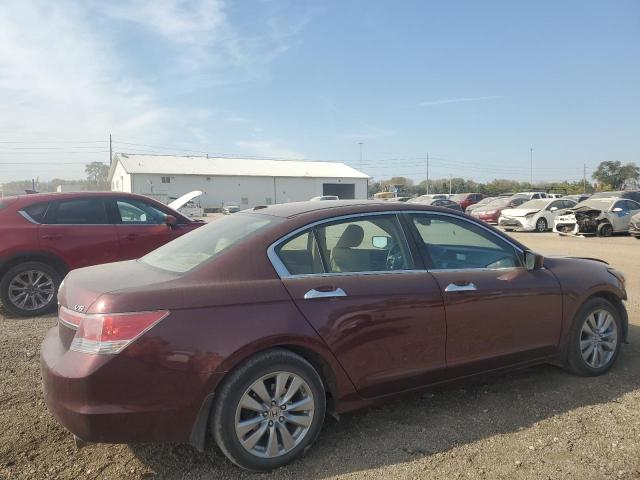 2011 HONDA ACCORD EXL