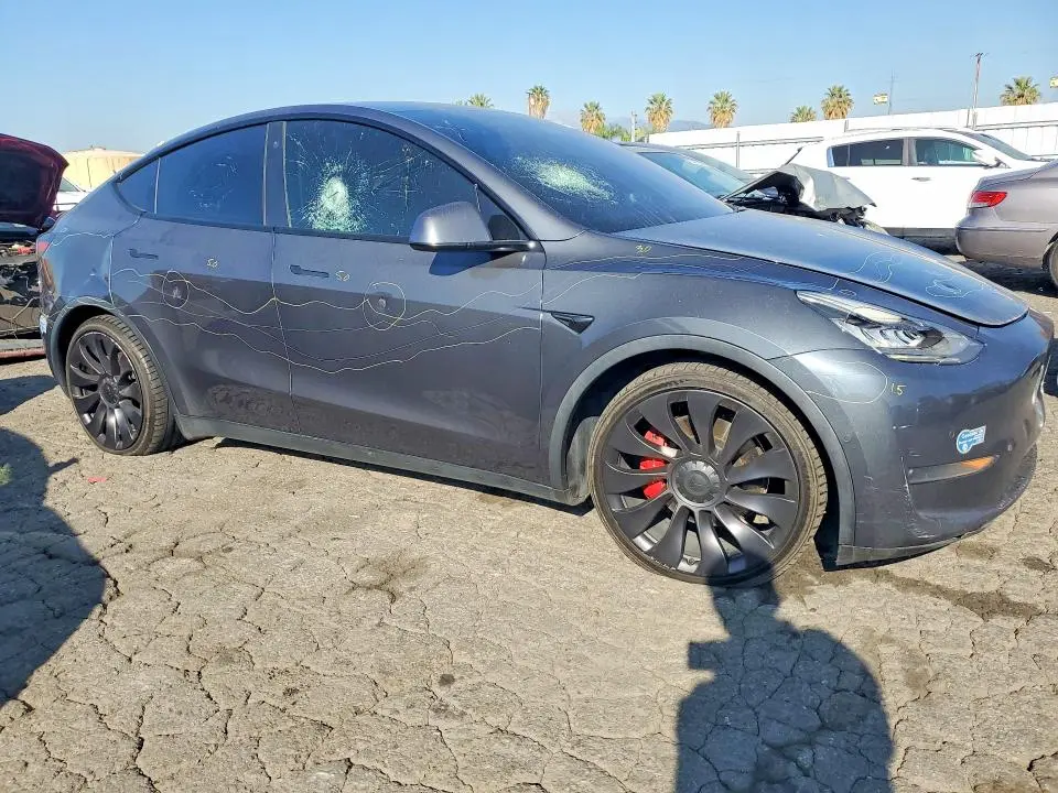 2021 TESLA MODEL Y   