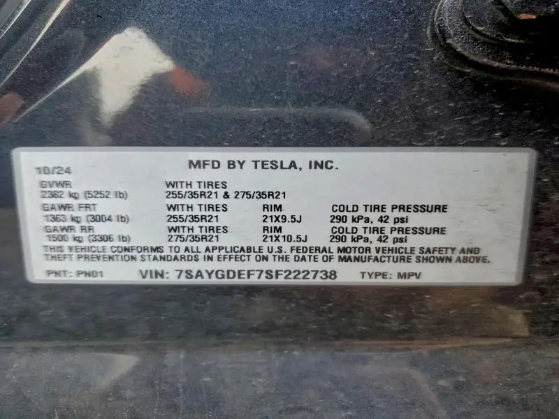 2025 TESLA MODEL Y   
