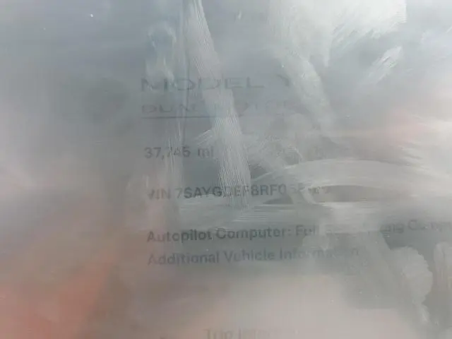 2024 TESLA MODEL Y   