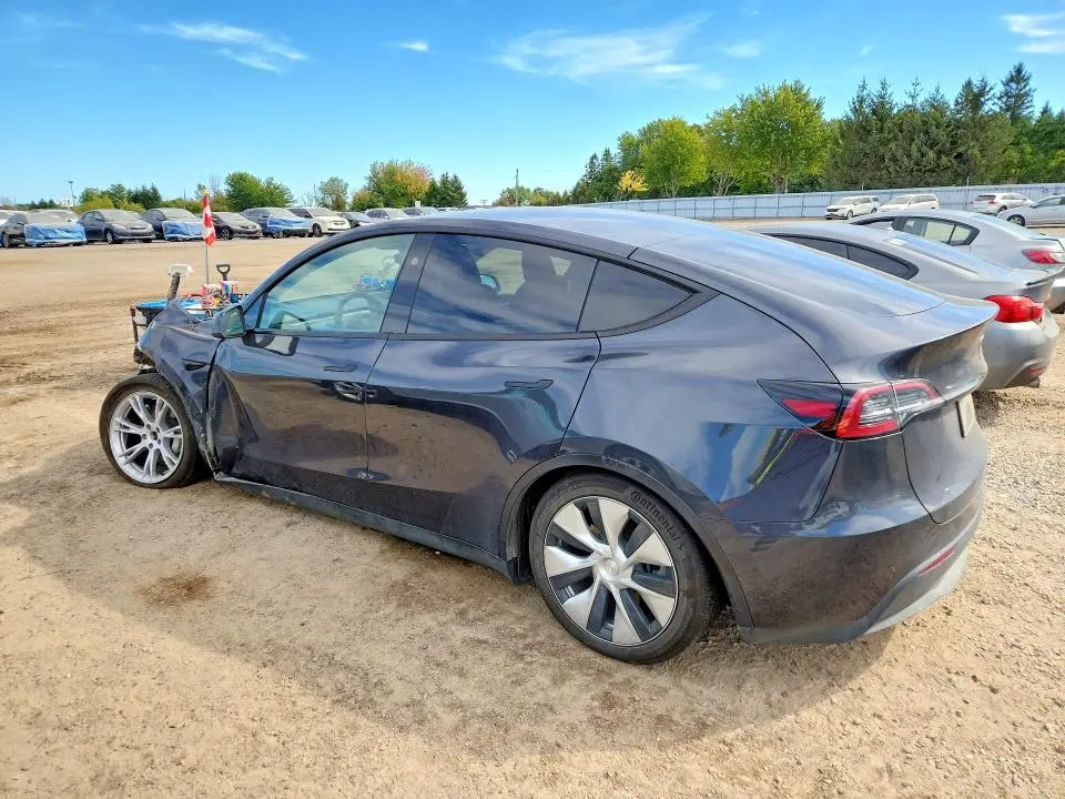 2024 TESLA MODEL Y   