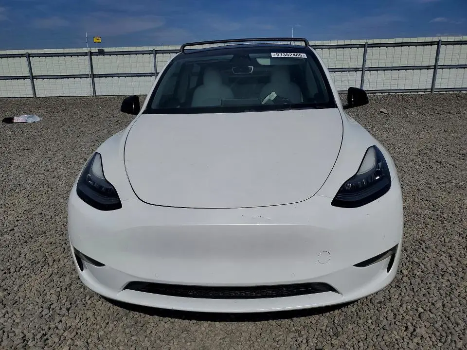 2020 TESLA MODEL Y   