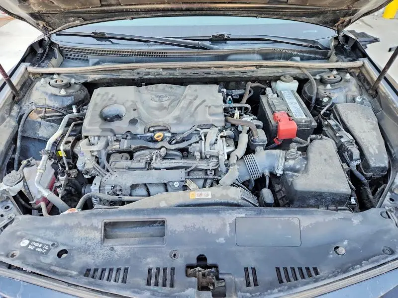 2019 TOYOTA CAMRY LE  