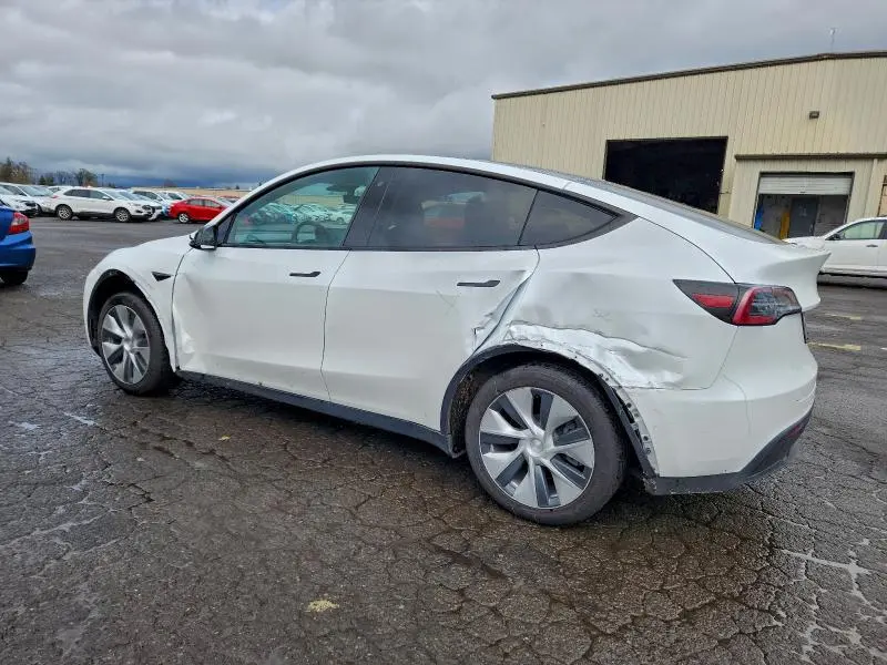 2020 TESLA MODEL Y   