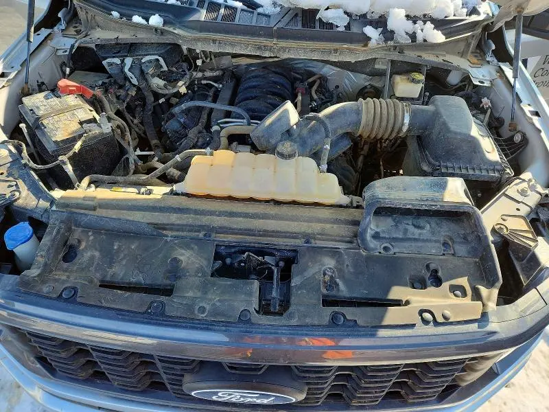 2024 FORD F150 STX  