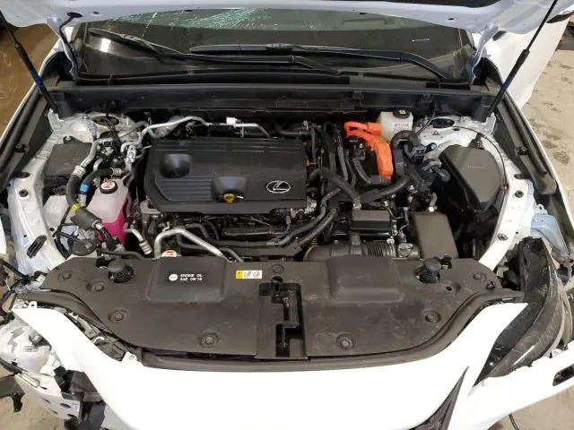 2025 LEXUS NX 450H LUXURY  