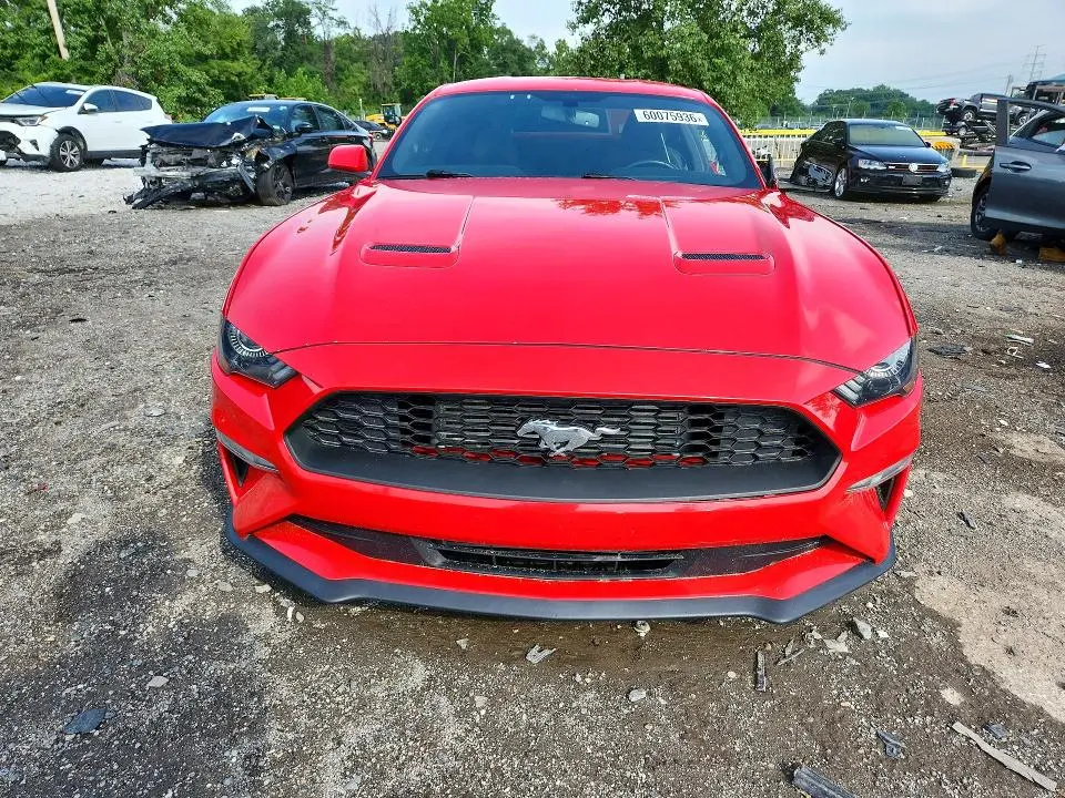 2019 FORD MUSTANG   