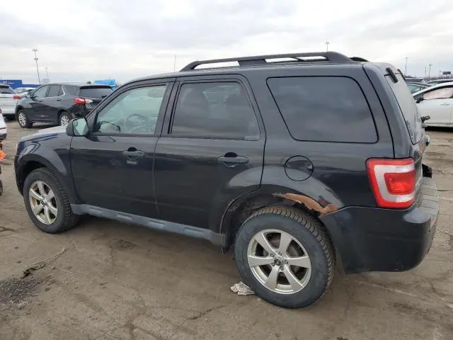 2011 FORD ESCAPE XLT  