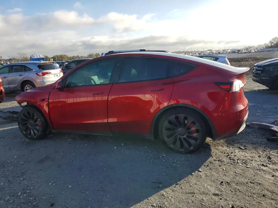 2025 TESLA MODEL Y   
