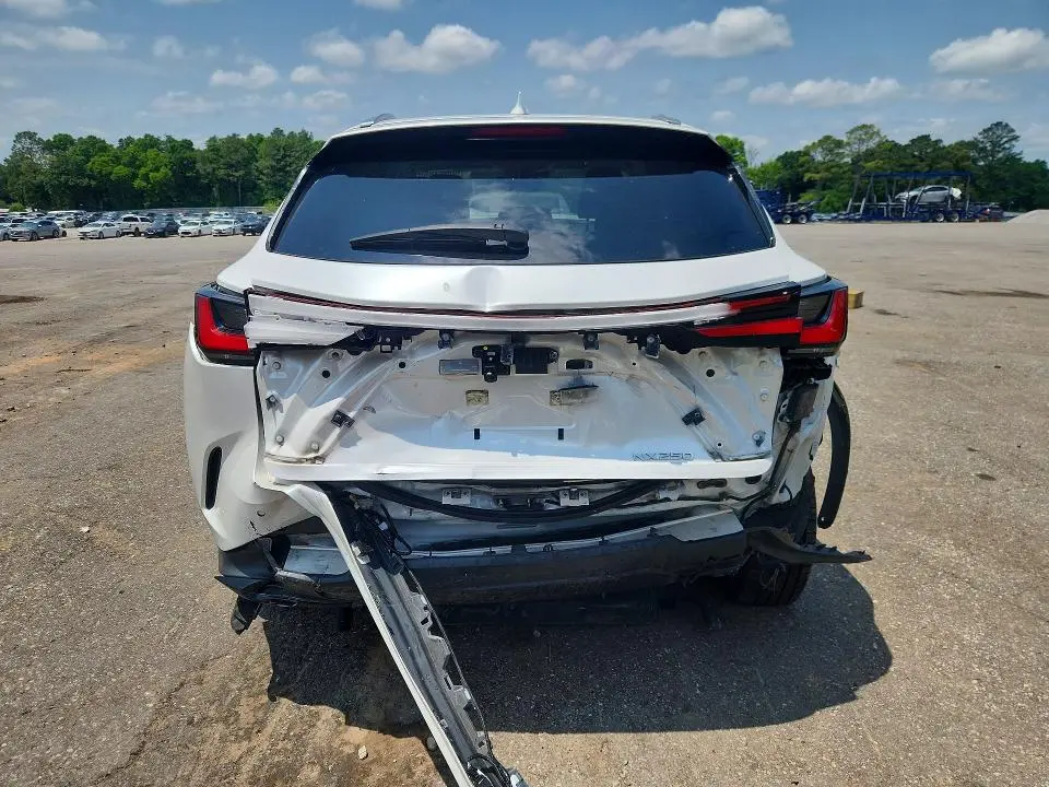 2023 LEXUS NX 250  