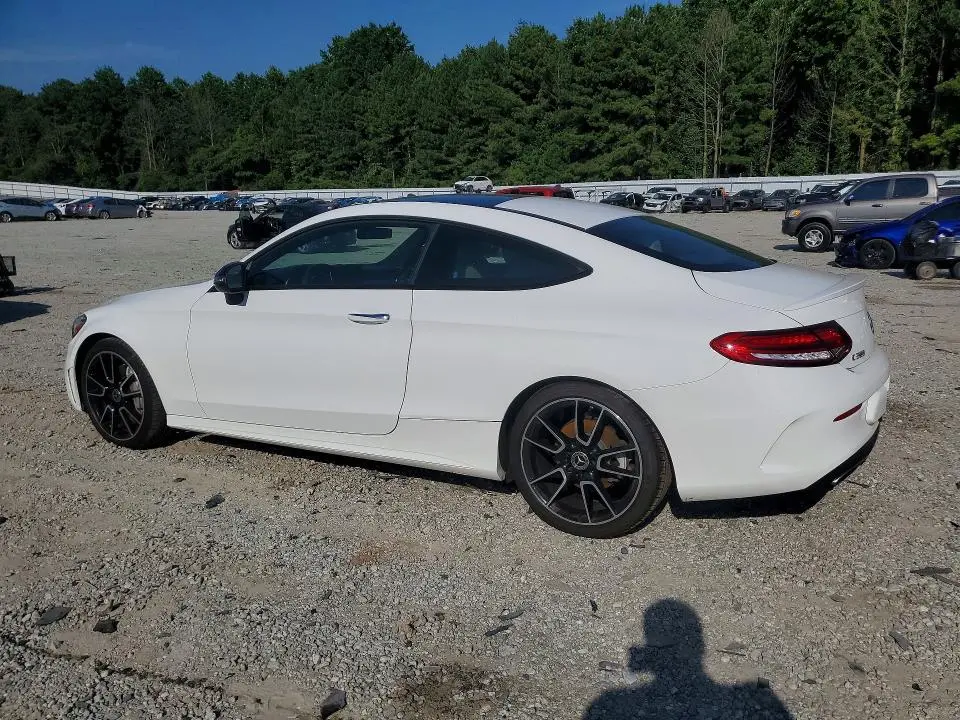 2019 MERCEDES-BENZ C 300  