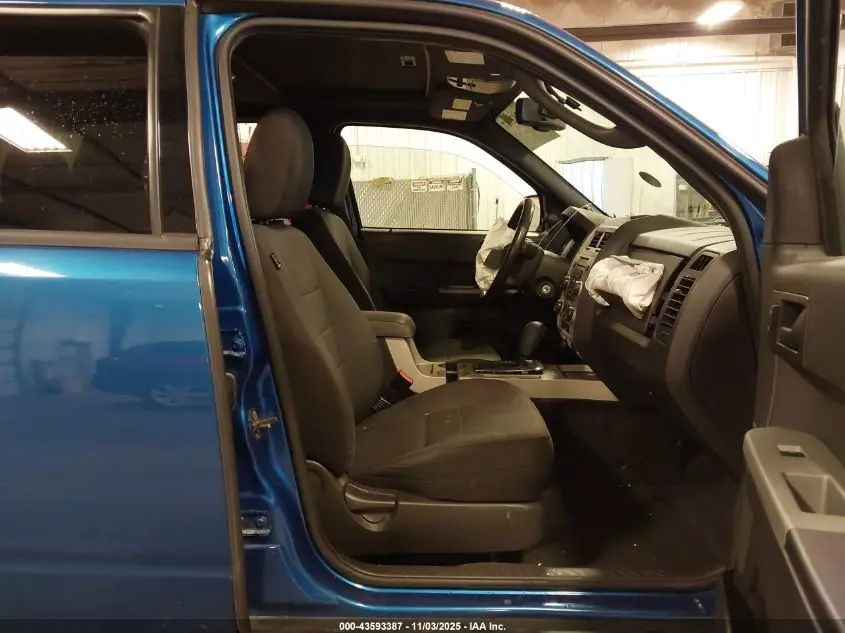 2011 FORD ESCAPE XLT