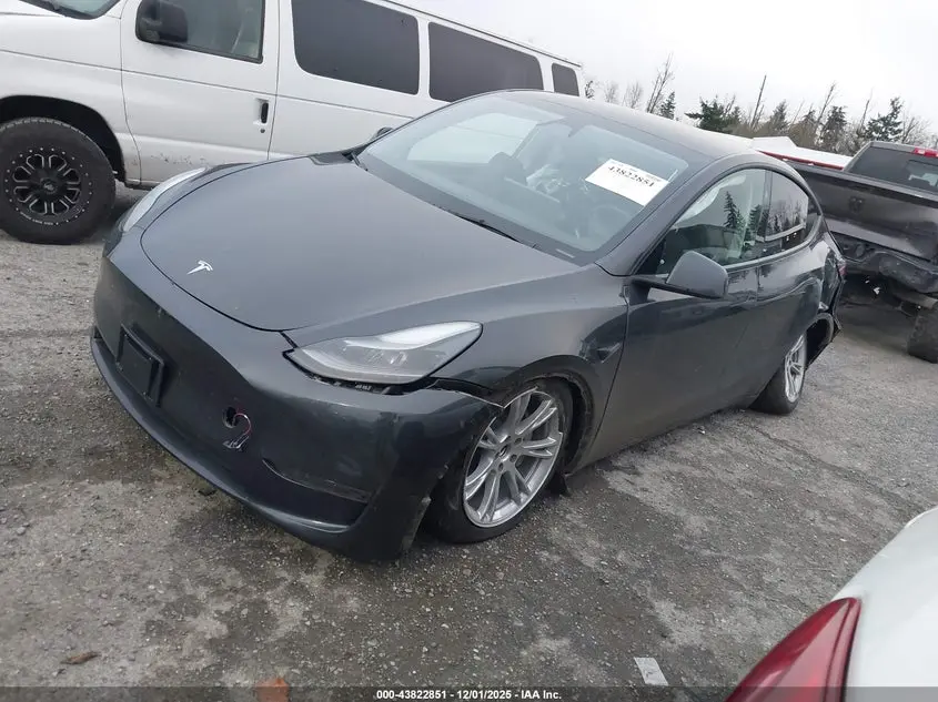 2024 TESLA MODEL Y RWD