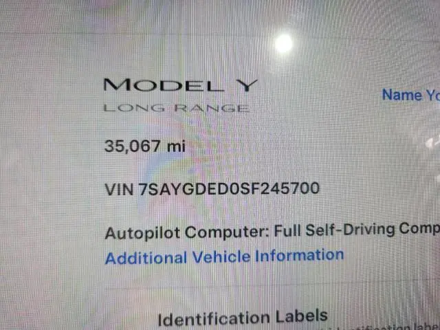 2025 TESLA MODEL Y   
