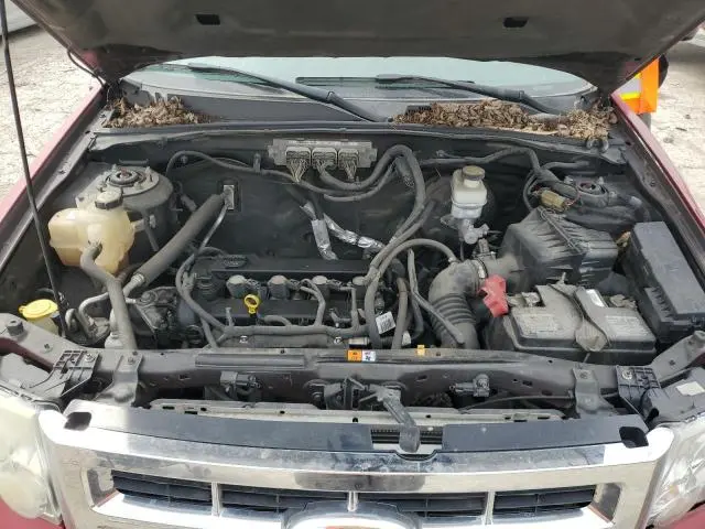 2010 FORD ESCAPE XLT