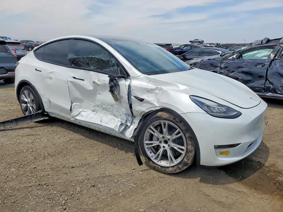 2021 TESLA MODEL Y   
