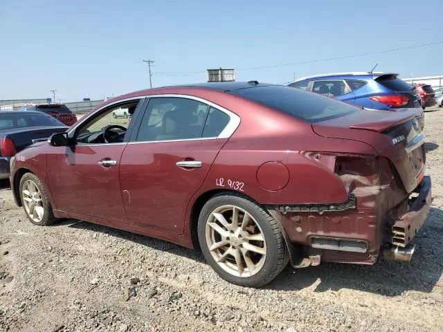 2010 NISSAN MAXIMA S  